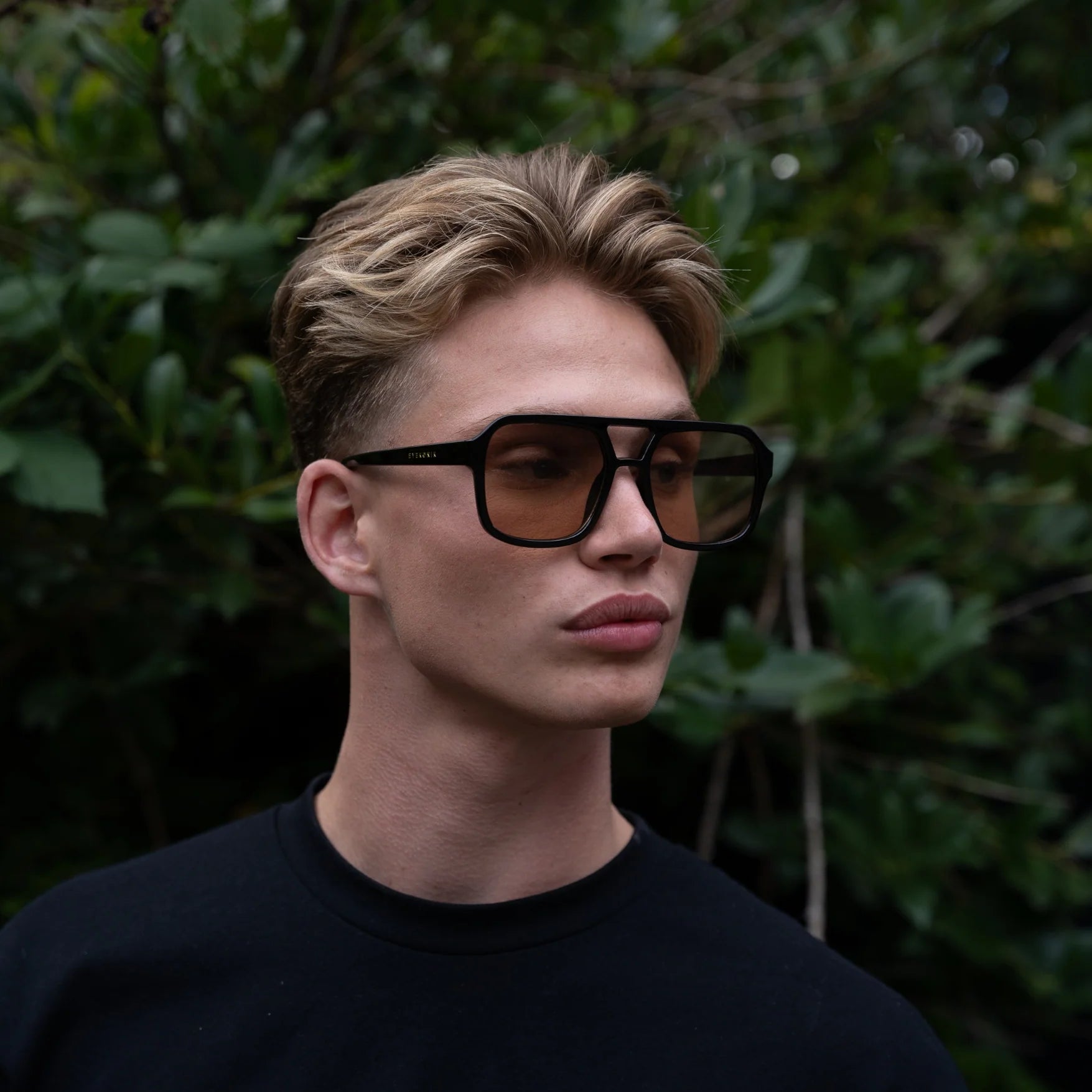 DAKIN | Scotch